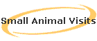Small Animal Visits